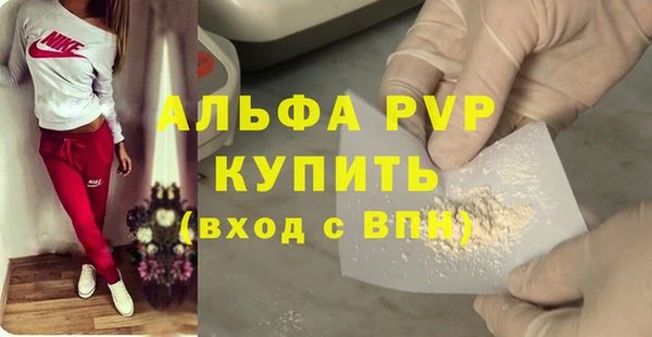 СК Богородицк