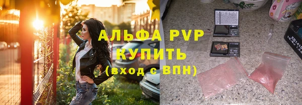 СК Богородицк
