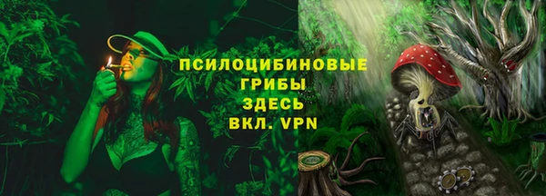 эйфоретик Строитель