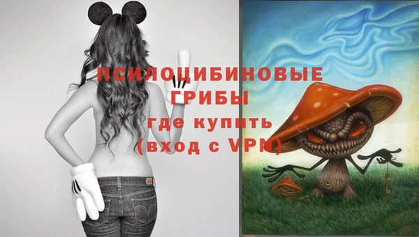 СК Богородицк