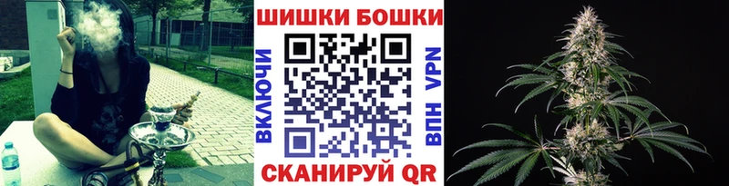 Канабис планчик Высоцк